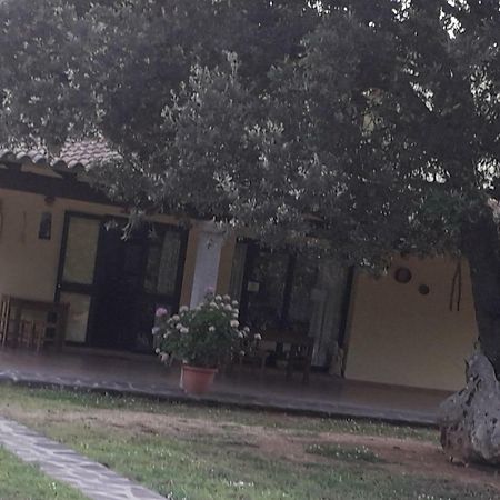 Agriturismo La Tuva Padru Exterior foto