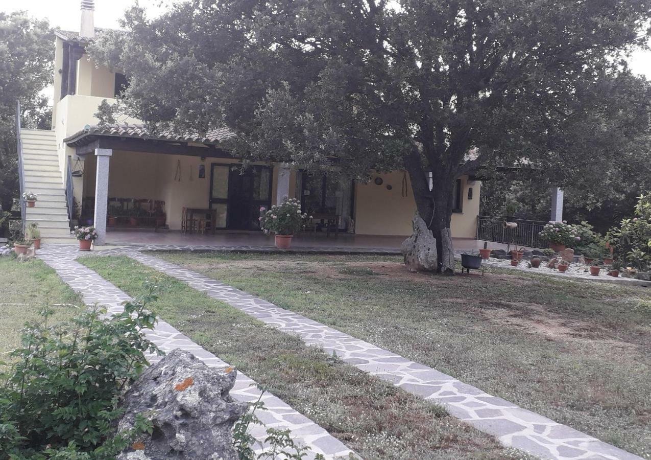 Agriturismo La Tuva Padru Exterior foto