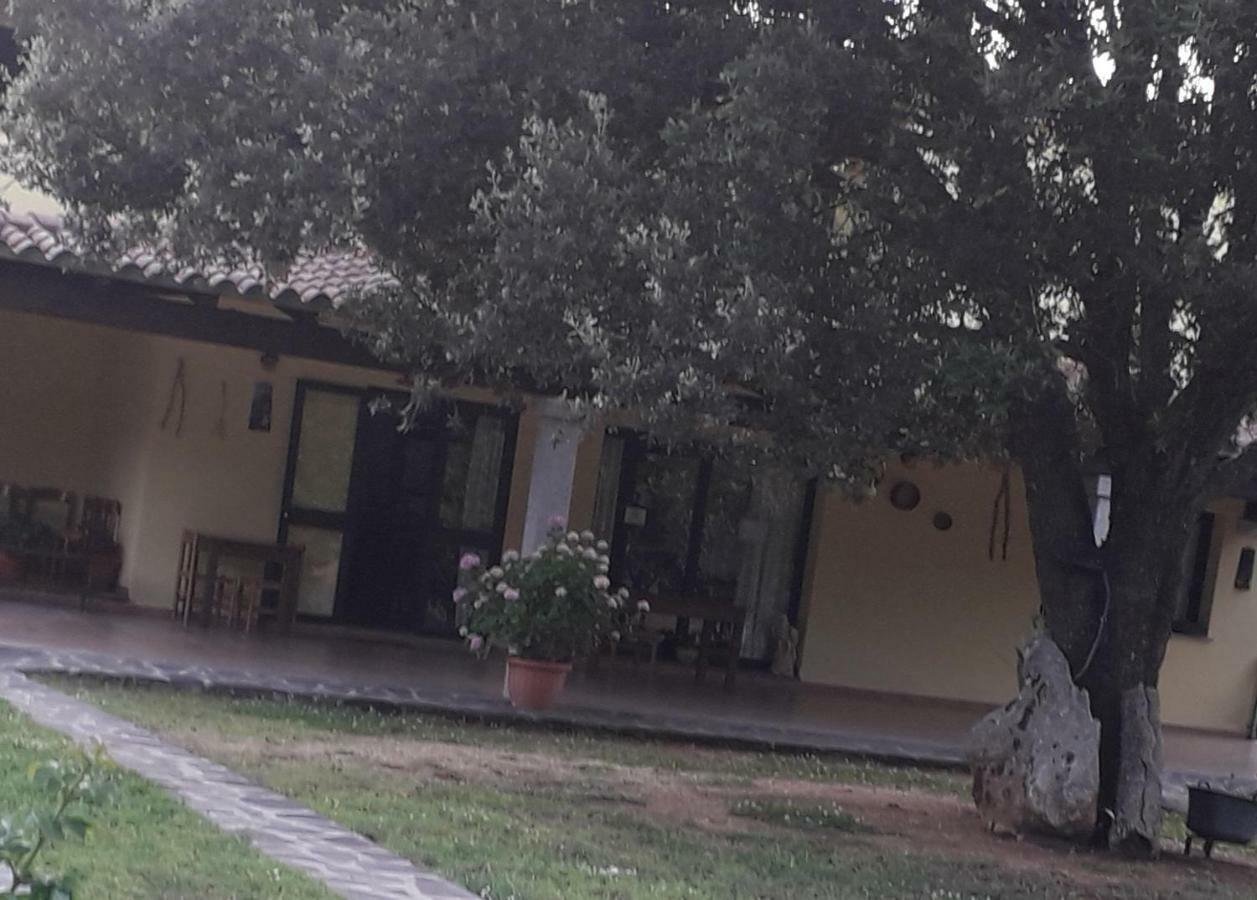 Agriturismo La Tuva Padru Exterior foto